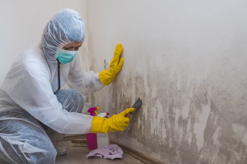 Attic Mold Remediation in West Palm Beach, FL
