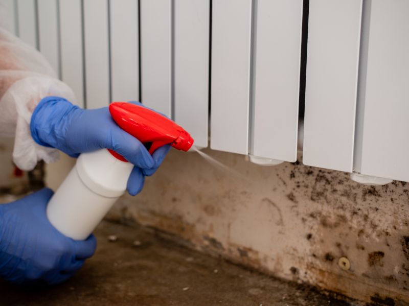 Black Mold Remediation in Essex County, NJ