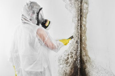 Mold Remediation Service in Boca Raton, FL