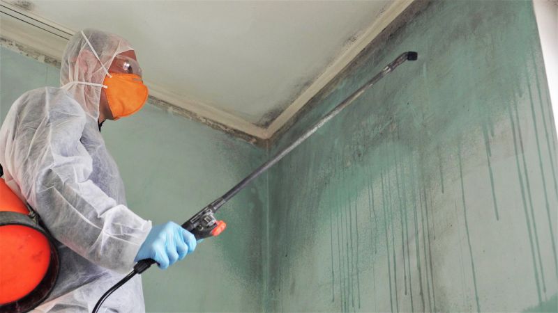 Mold Restoration in Boca Raton, FL