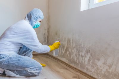 Attic Mold Remediation in Jupiter, FL