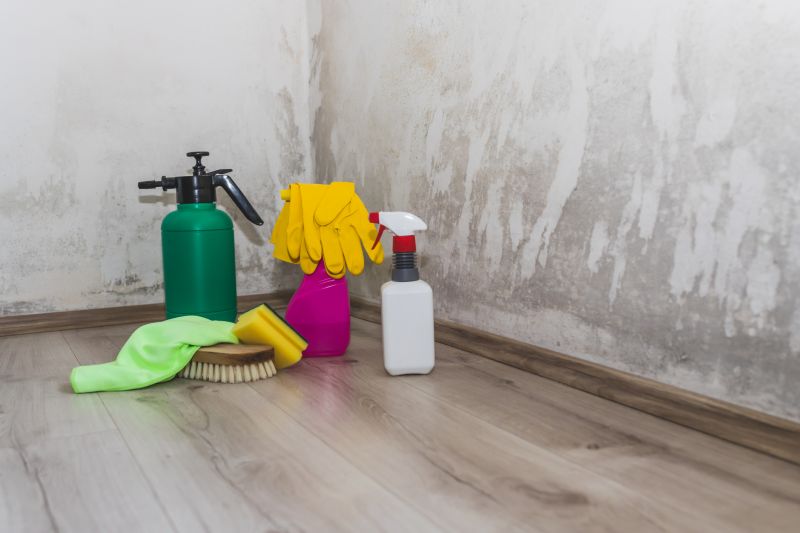 Attic Mold Removal in West Palm Beach, FL