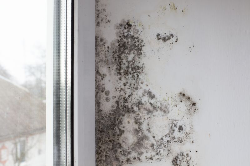 Basement Mold Removal in Frisco, TX