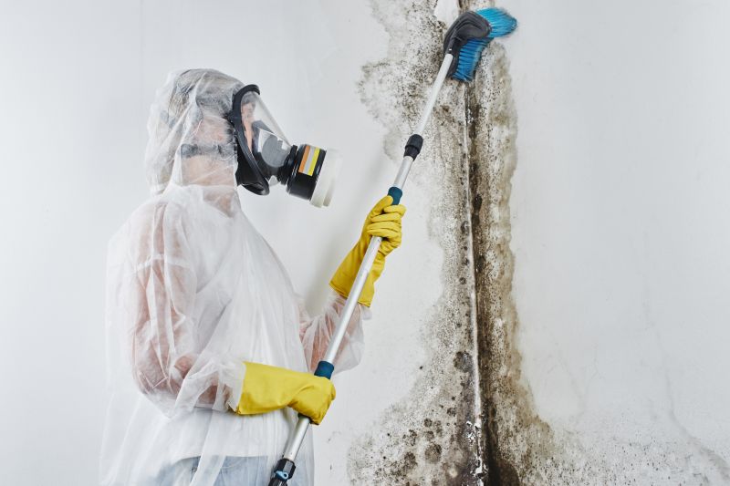 Crawl Space Mold Removal in Fort Worth, TX
