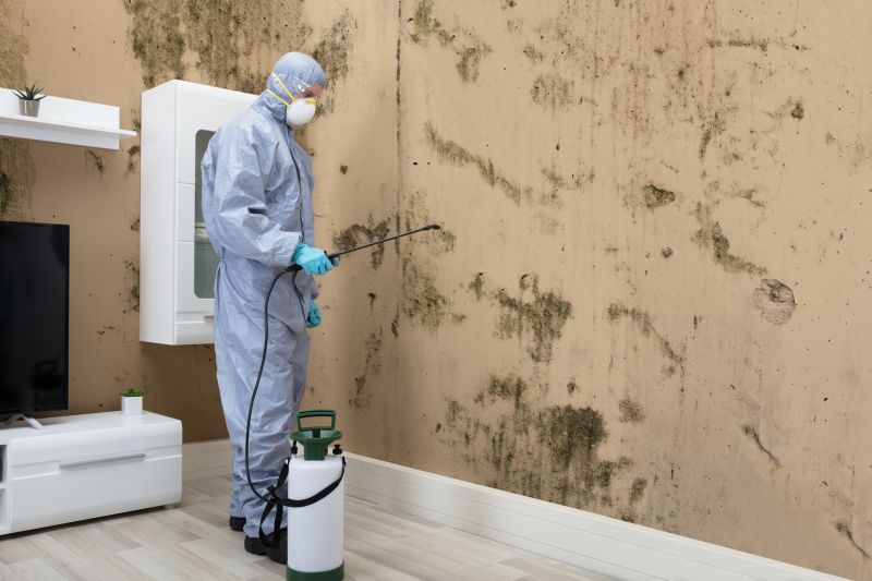 Mold Remediation
