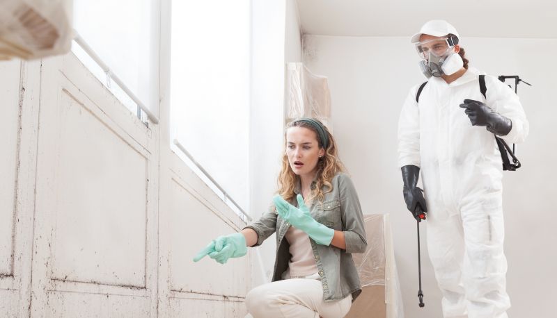Mold Remediation