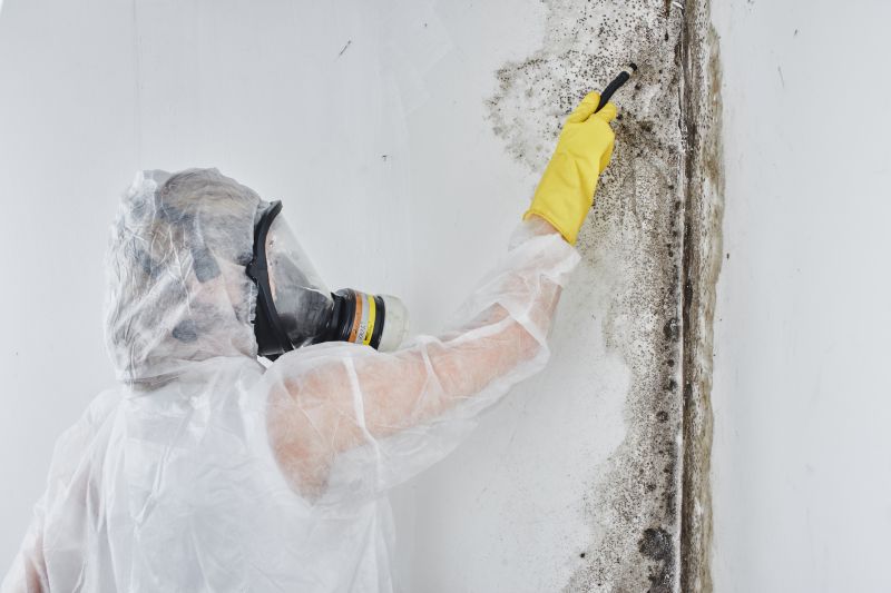 Removing Mold Contaminants