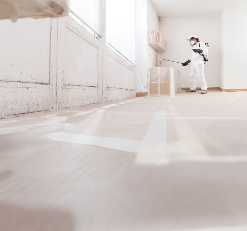 Mold Removal in Essex County, NJ