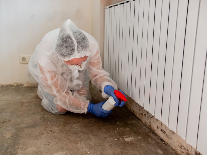 White Mold Mitigation in West Palm Beach, FL