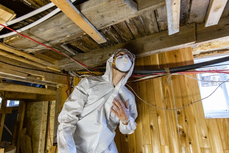 Mold Inspection Experts