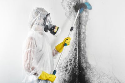 Get Professional Service To Ensure Quality Results!